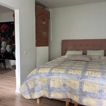 Vahe Apartment, Appartement
